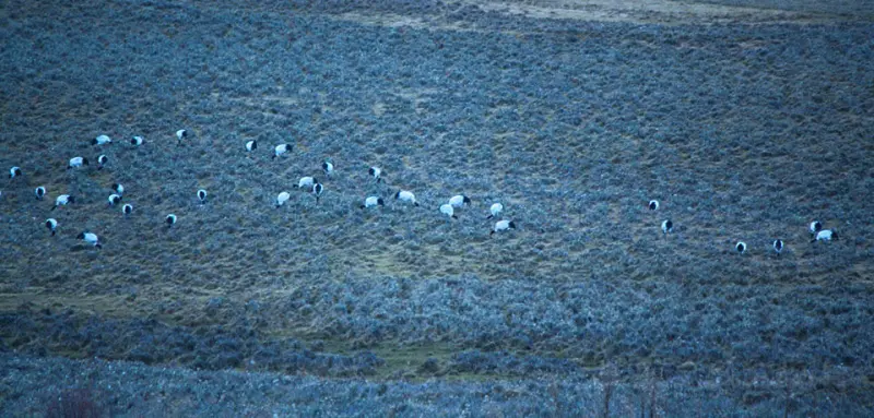 Drukpath Trek gallery image